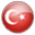 Türkçe